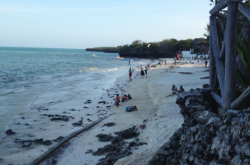 Auf Sansibars Korallenfelsen