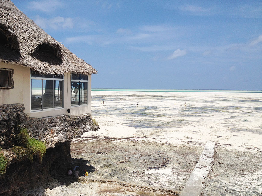 Auf Sansibars Korallenfelsen