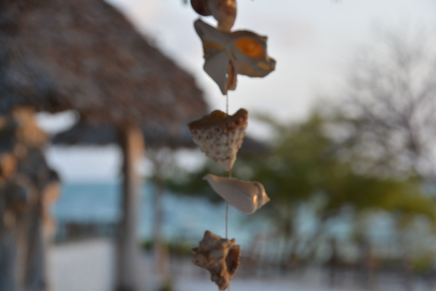 Inseltraum Sansibar: das Kilimani Kwetu