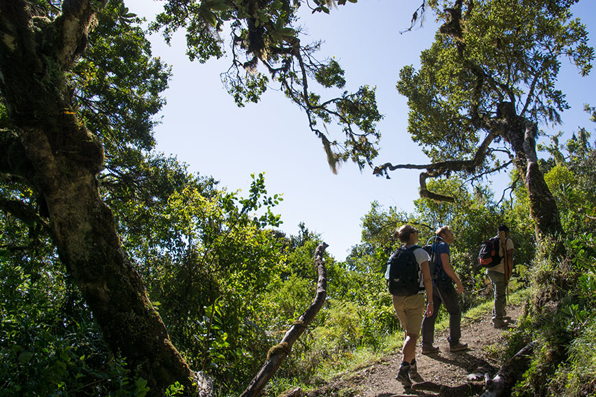 On top of Africa – Mount Meru