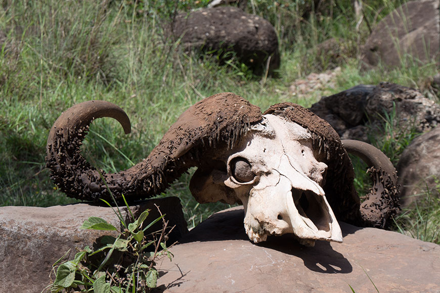 On top of Africa – Mount Meru