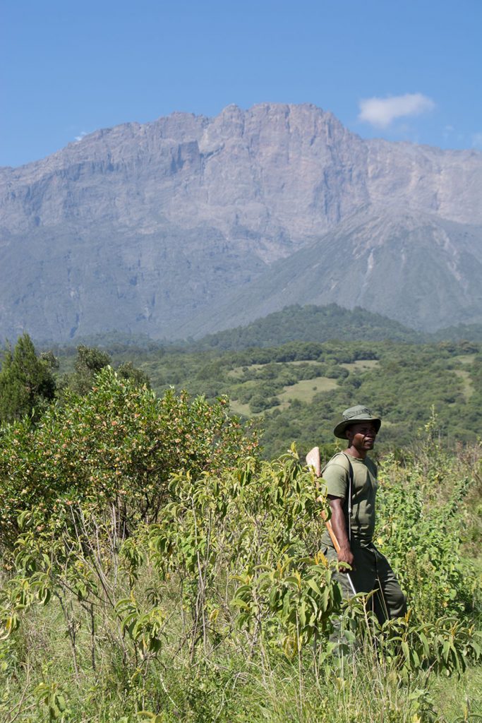 On top of Africa – Mount Meru