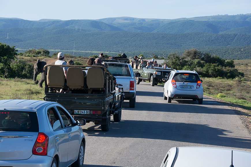 Africa – it´s all about animals