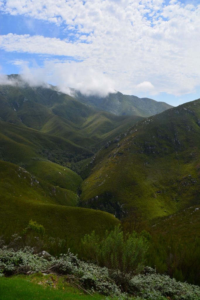 Südafrika Entdecker