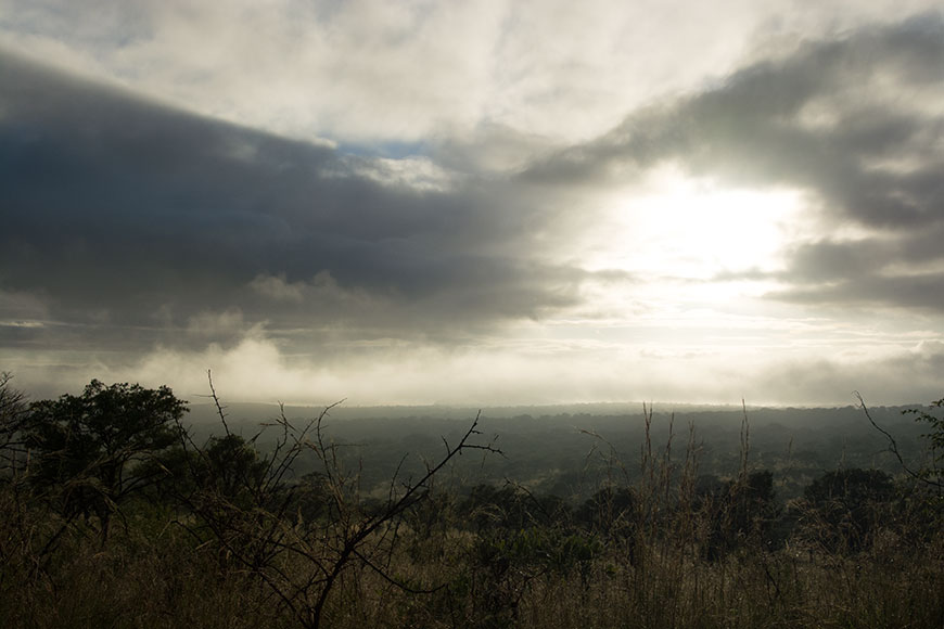 Africa in a nutshell