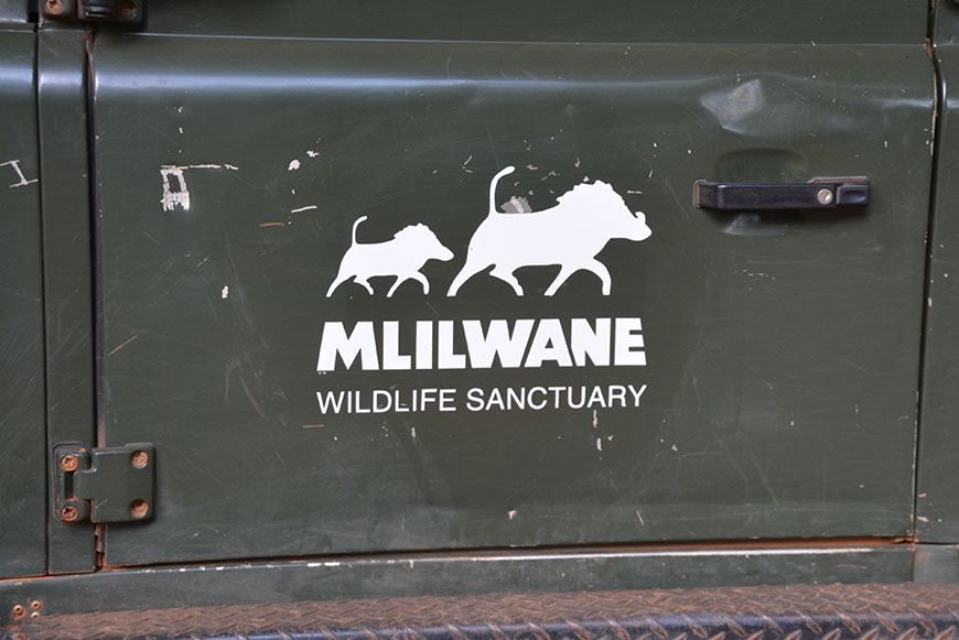 Wo Hippo und Kroko sich Gute Nacht sagen