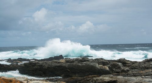 If you Smile at Nature…