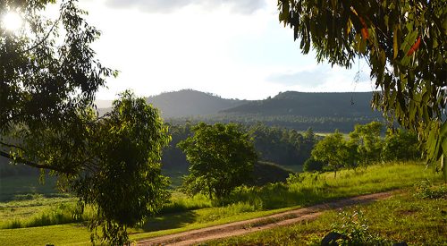 Wo Hippo und Kroko sich Gute Nacht sagen