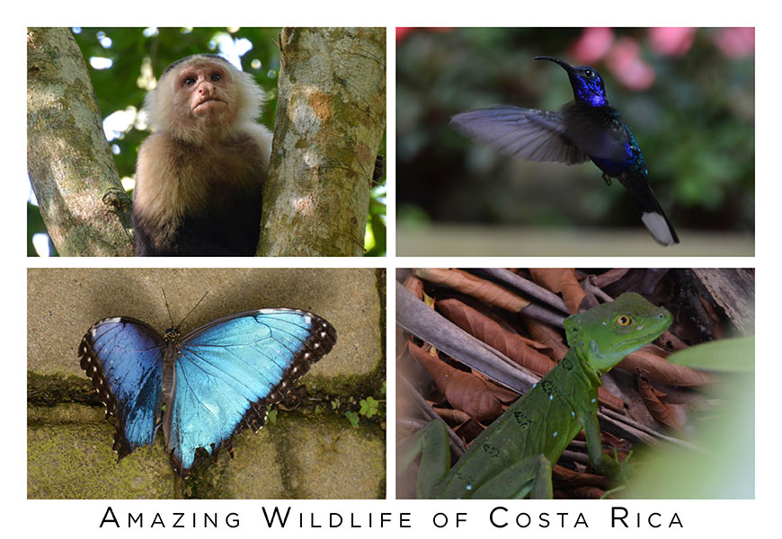 Postcards from Costa Rica