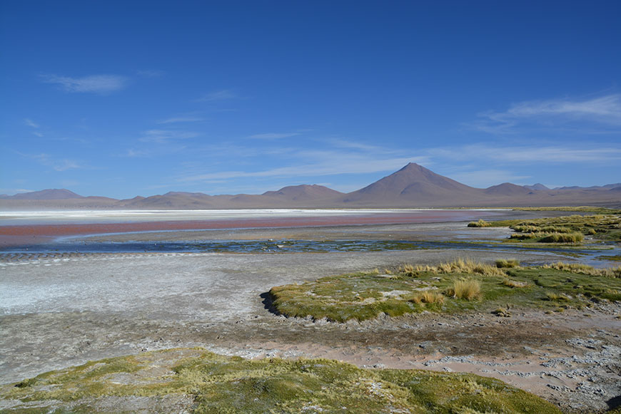 Into the salty desert