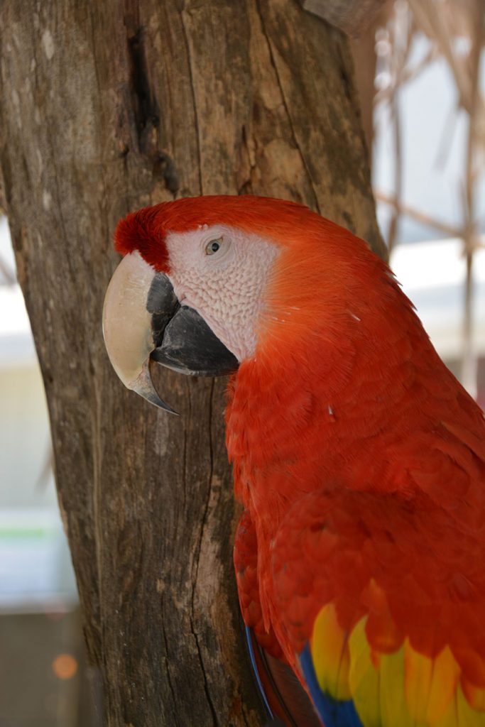 Komm mit ins Abenteuerland