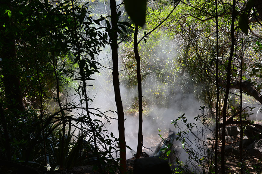 Komm mit ins Abenteuerland