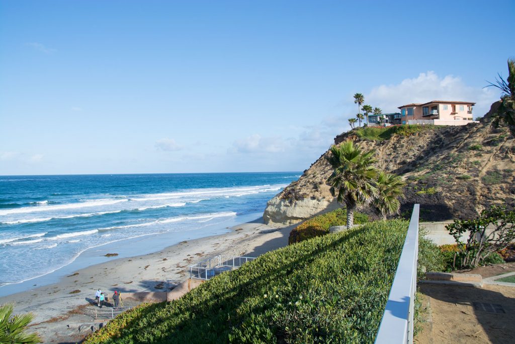 The Desperate Traveler