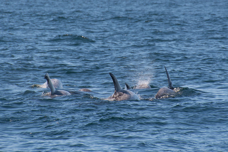 California – along the pacific ocean