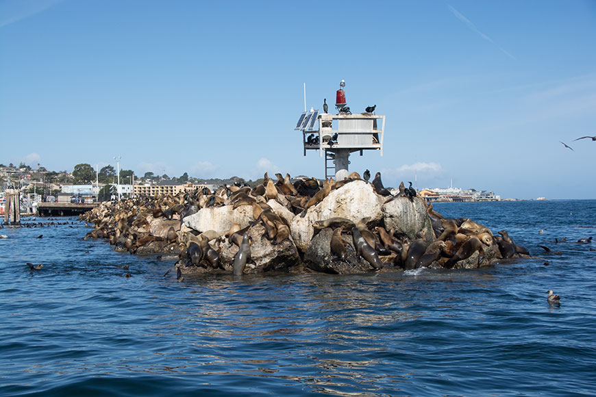 California – along the pacific ocean