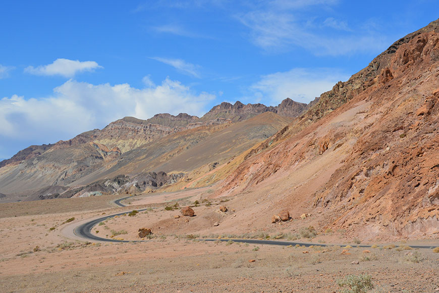 Von Bären und Coyoten