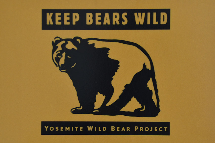 Von Bären und Coyoten