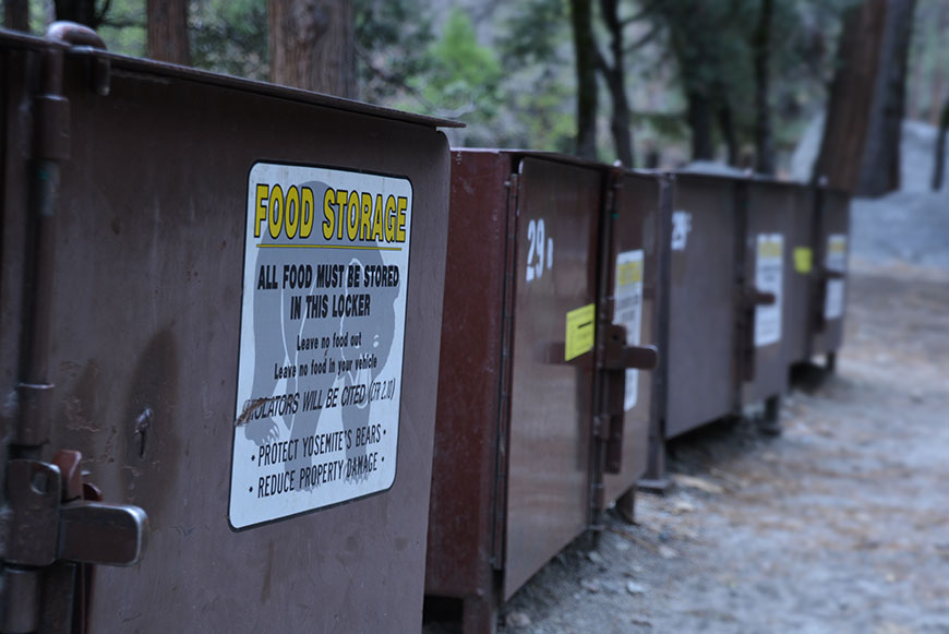 Von Bären und Coyoten