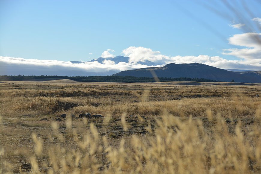 Goldene Zeiten in Neuseeland
