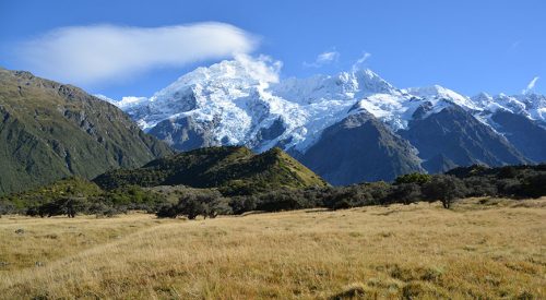 Goldene Zeiten in Neuseeland