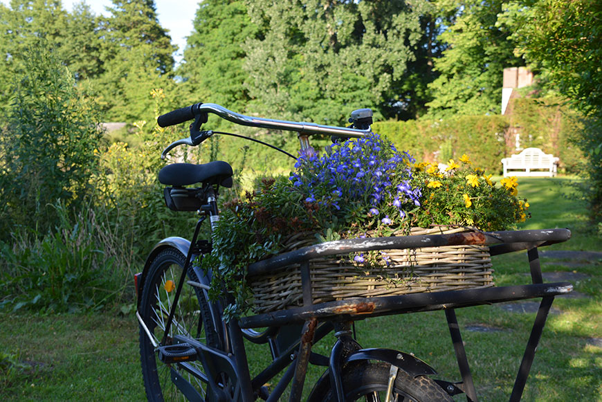 Im grünen Gewölbe des Spreewalds