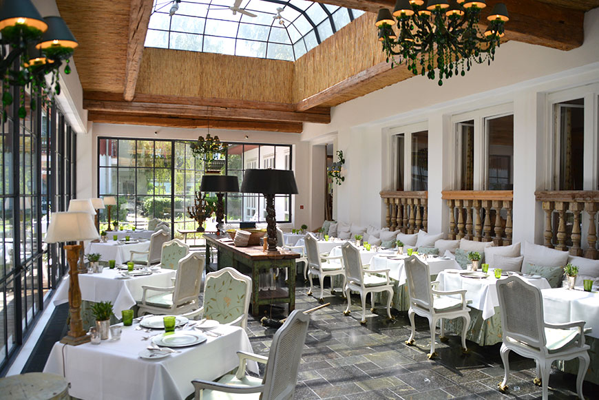 Im grünen Gewölbe des Spreewalds