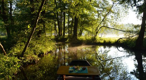 Im grünen Gewölbe des Spreewalds