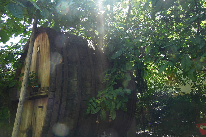 Auf ein Glas Wein im Kaiserstuhl