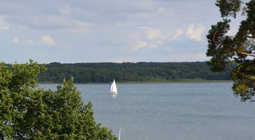 Two Chicks on the Road