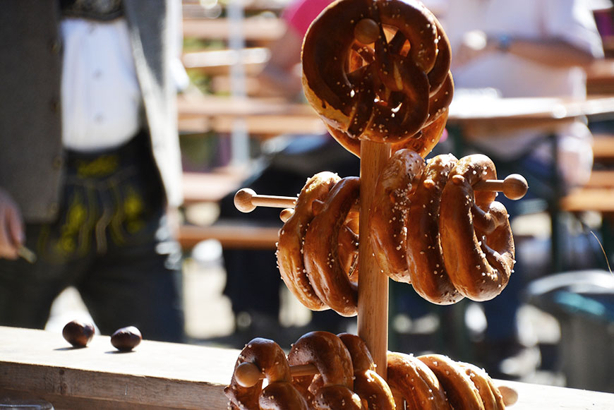 Im Frühtau zu Berge… Im Chiemgau