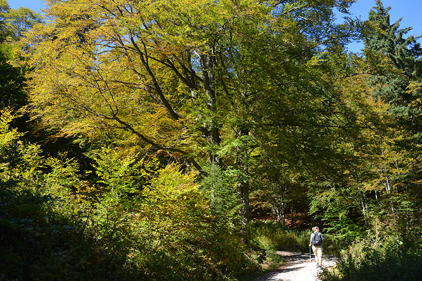 Im Frühtau zu Berge… Im Chiemgau