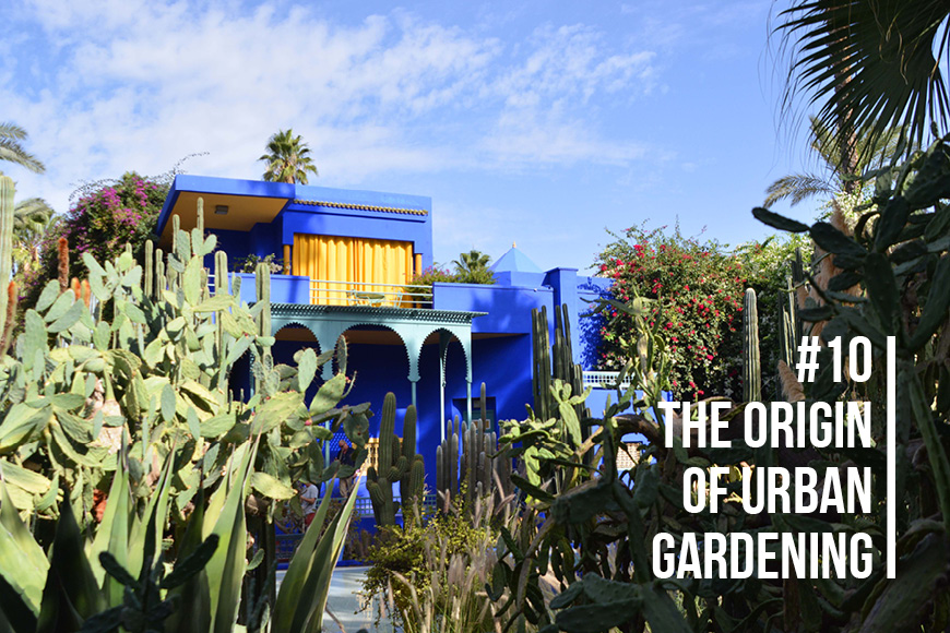 Why you´ll love Marrakech
