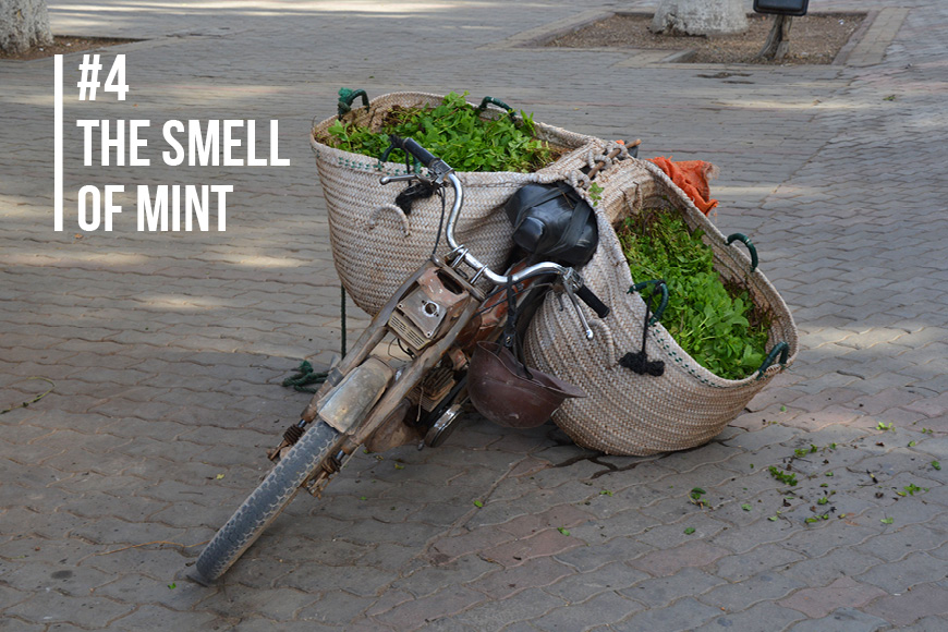 Why you´ll love Marrakech