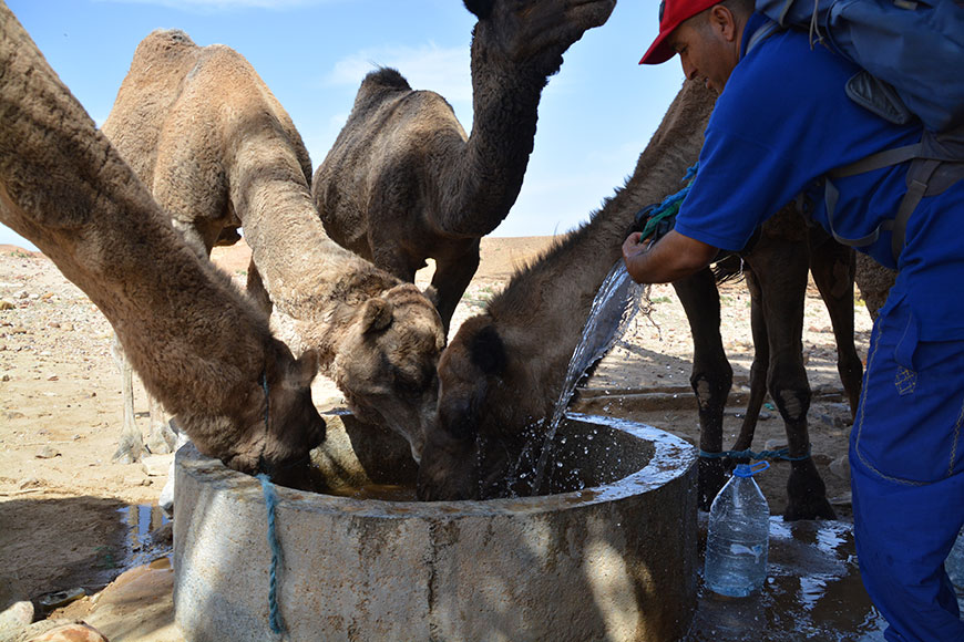 Die Karawane zieht weiter