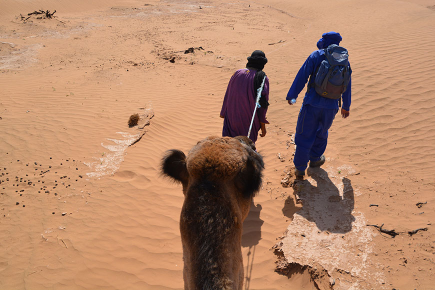 Die Karawane zieht weiter