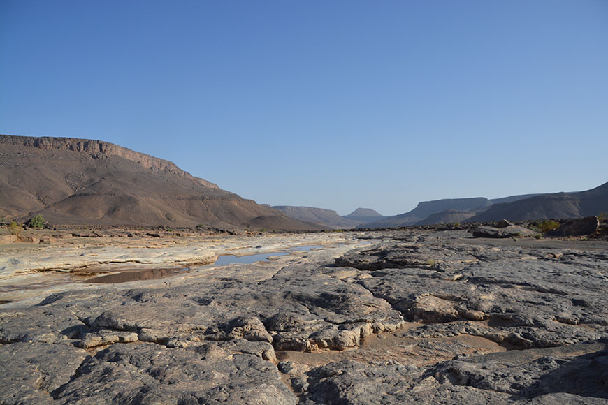 Die Karawane zieht weiter