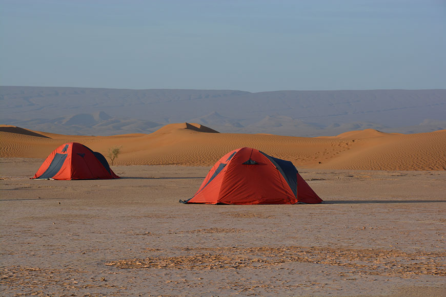 Die Karawane zieht weiter