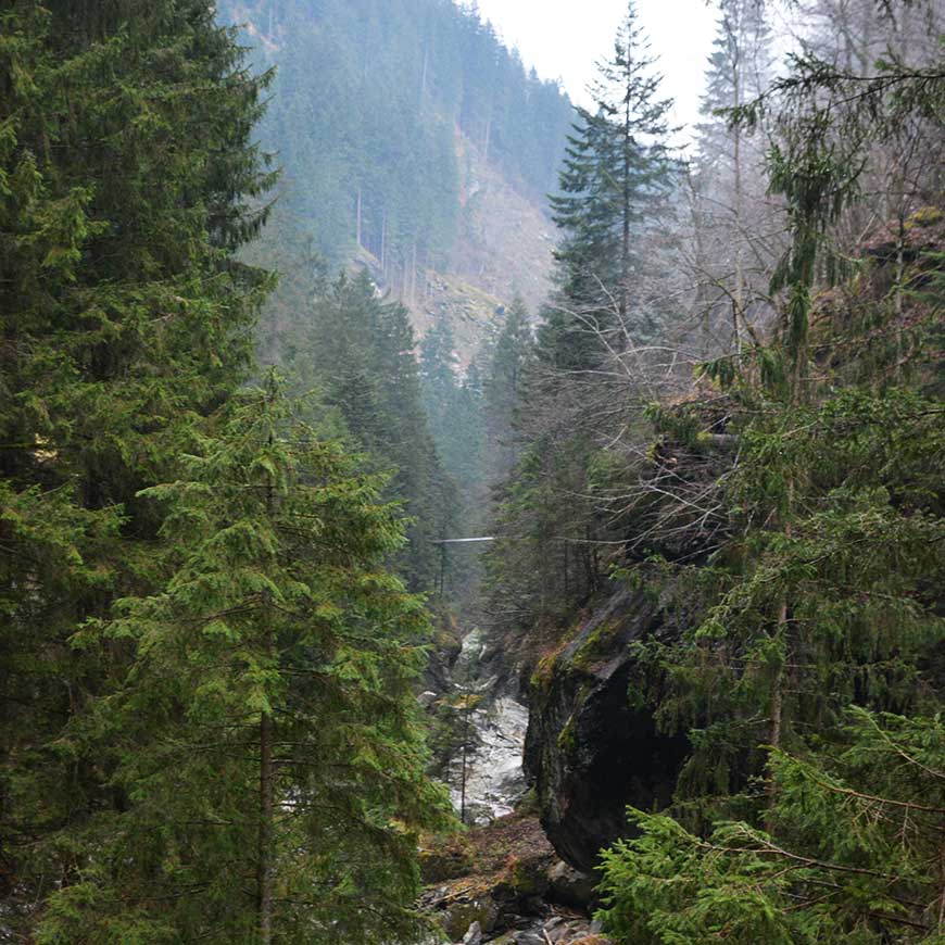 Die Kombi-Lösung: Unterwegs im Zillertal