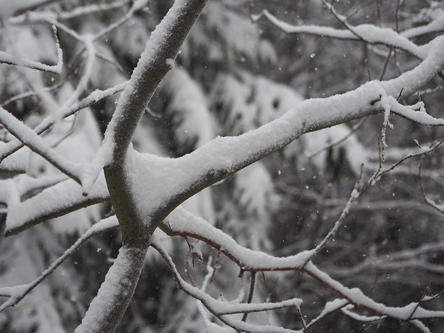 Auf breiten Sohlen durch Polen