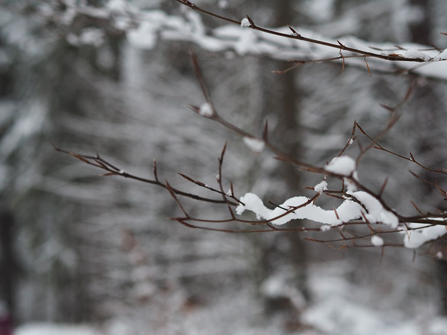 Auf breiten Sohlen durch Polen