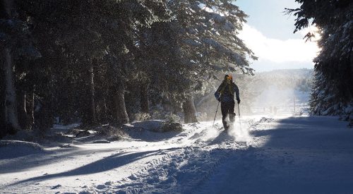 Auf breiten Sohlen durch Polen