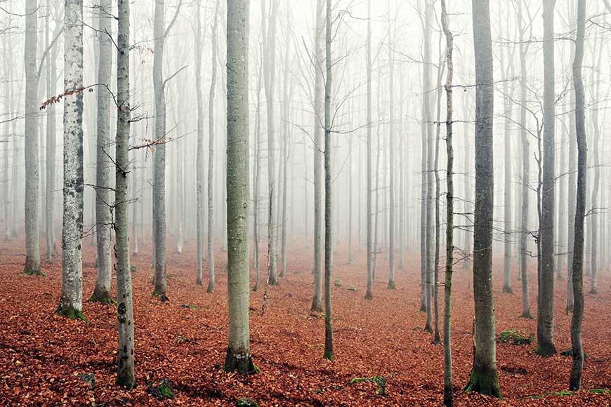 Vom Verzicht und was man dadurch gewinnt