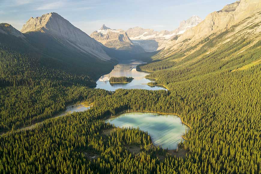 Vom Verzicht und was man dadurch gewinnt