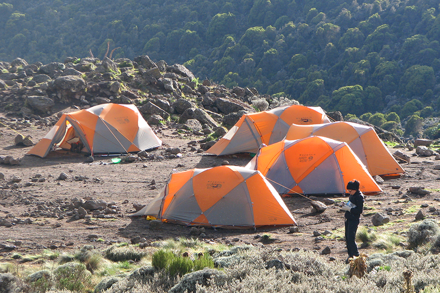 Was geht ab in Tansania?