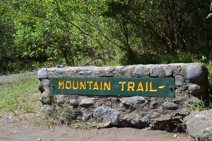 Was geht ab in Tansania?