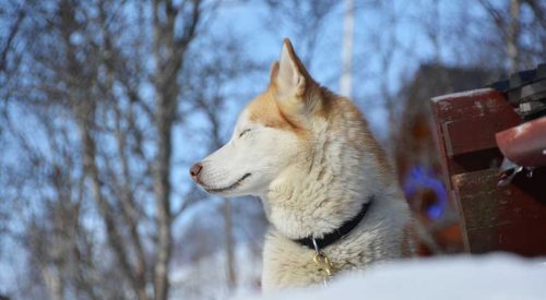 Norwegen, hörst du die Stille?