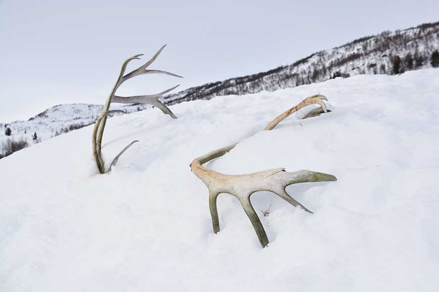 Norwegen, hörst du die Stille?