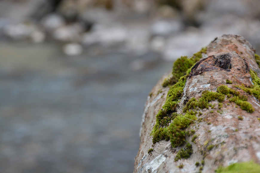 Free Riding – alpines Wintercamping