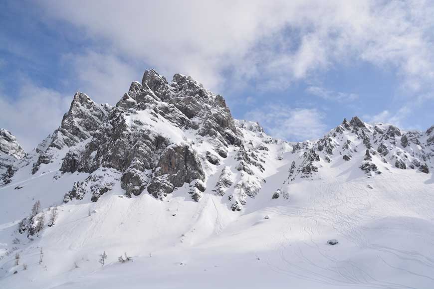 Der Stachel Hans aus Südtirol