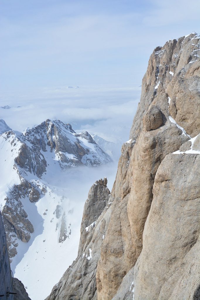 Der Stachel Hans aus Südtirol